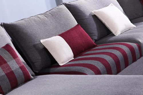 帝言 深化品牌形象,引领软体家居新风尚