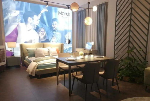 爱依瑞斯莫拉 诠释艺术之魅，引领软体家具新风尚