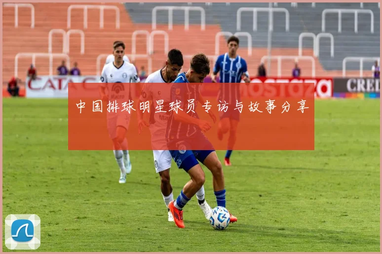 中国排球明星球员专访与故事分享