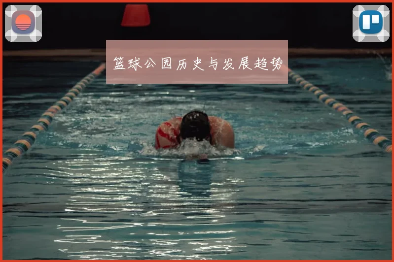 篮球公园历史与发展趋势