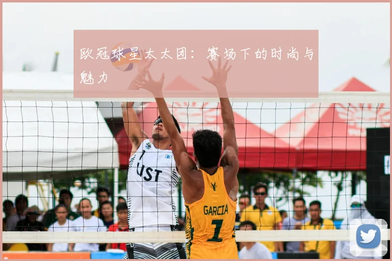 欧冠球星太太团：赛场下的时尚与魅力
