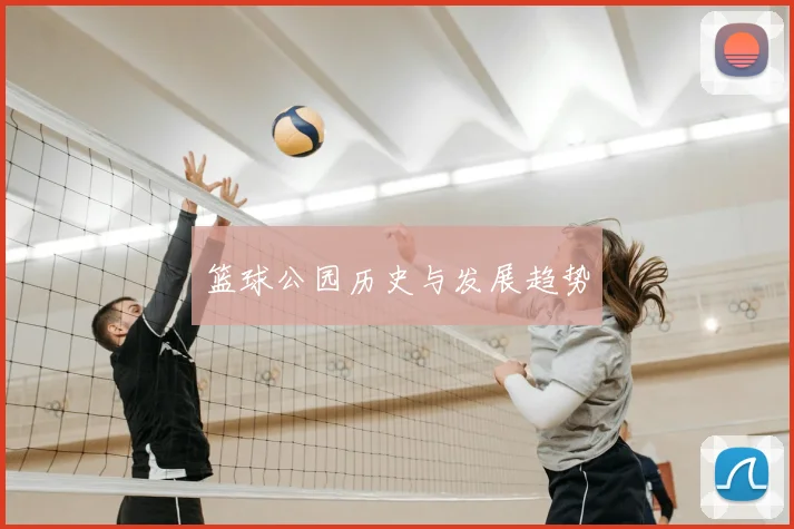 篮球公园历史与发展趋势