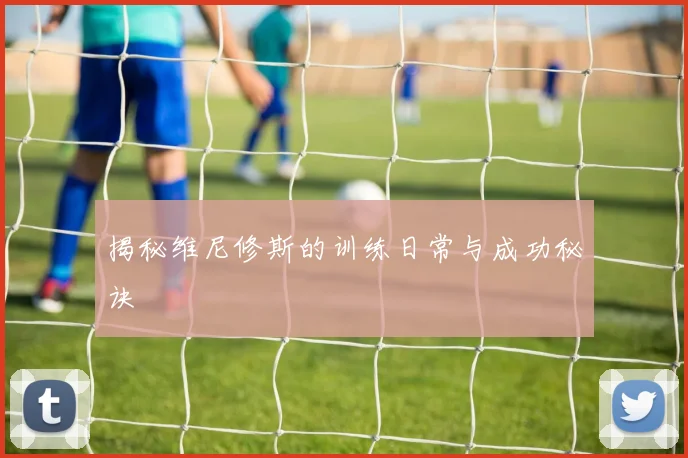 揭秘维尼修斯的训练日常与成功秘诀